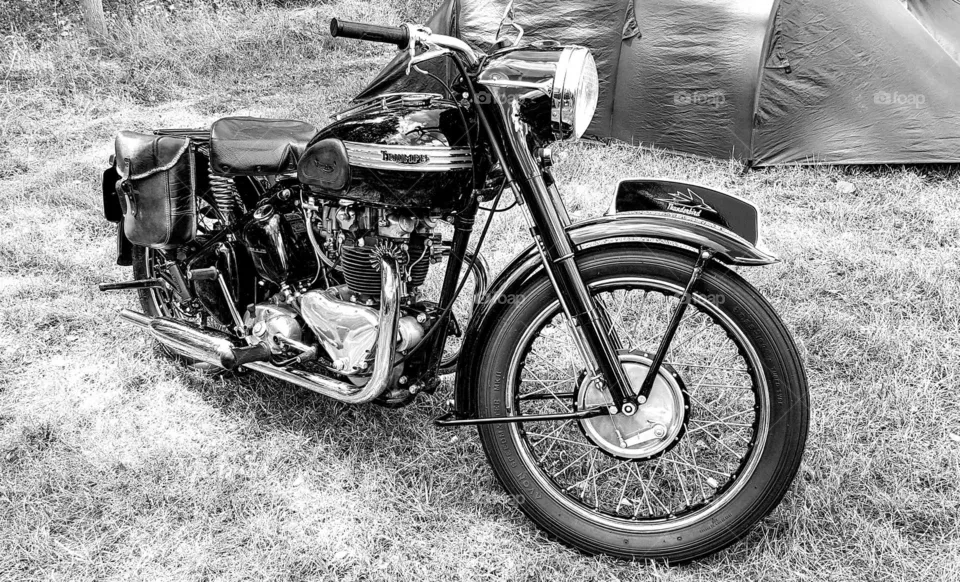 Triumph