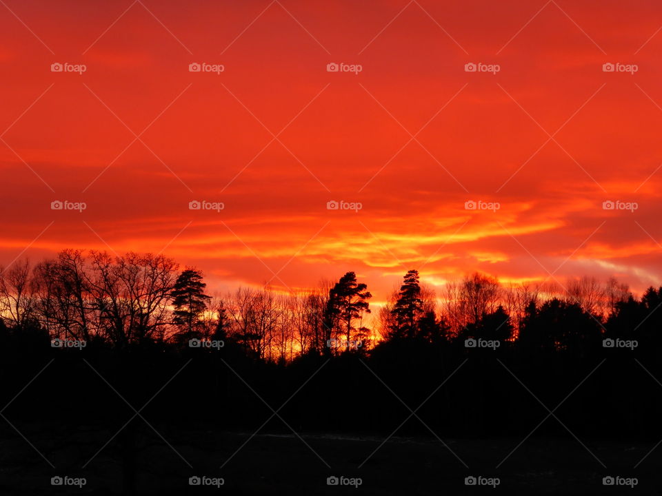 Orange colored sky