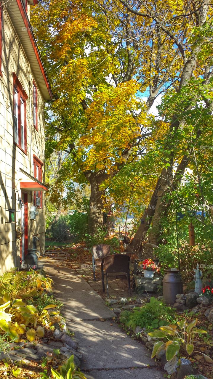 Autumn Path