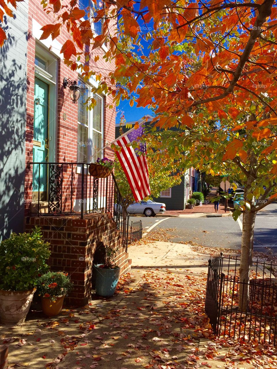 Fall in Alexandria, Virginia 