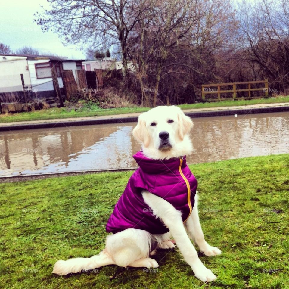 Sweet Zoe posing at the canal