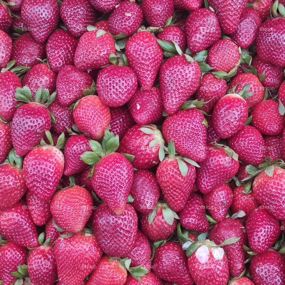 A great shot of raspberry fruit