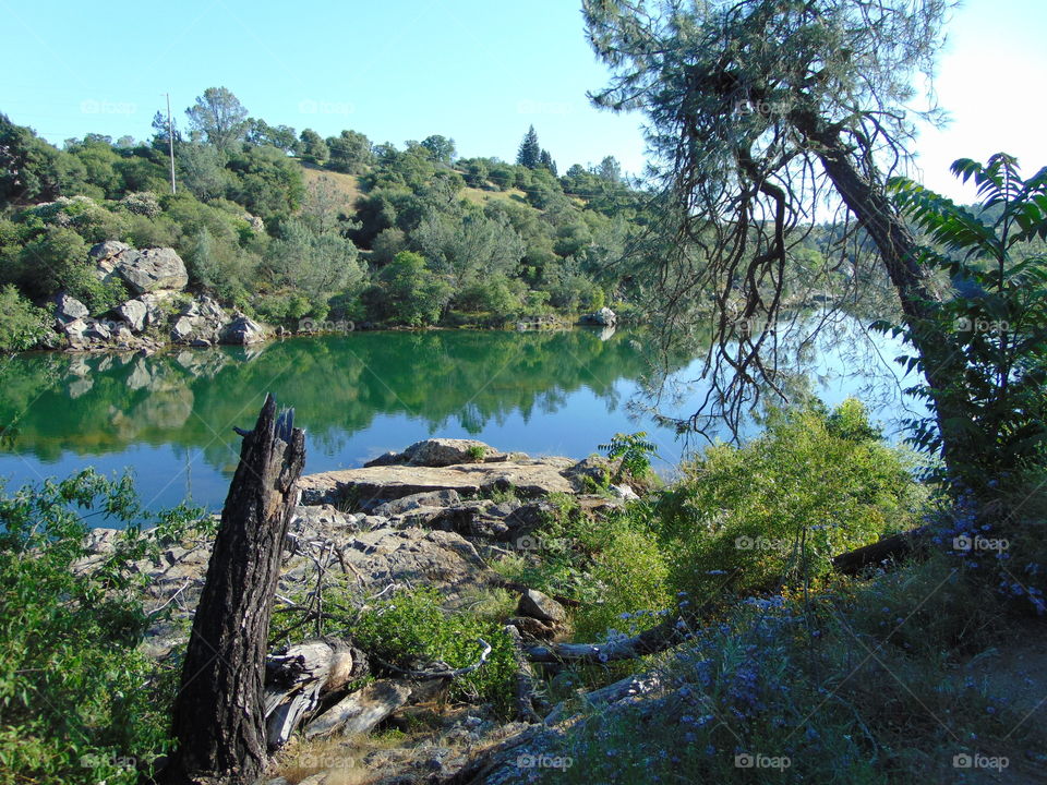 Riverview seen on a nature hike in Folsom California