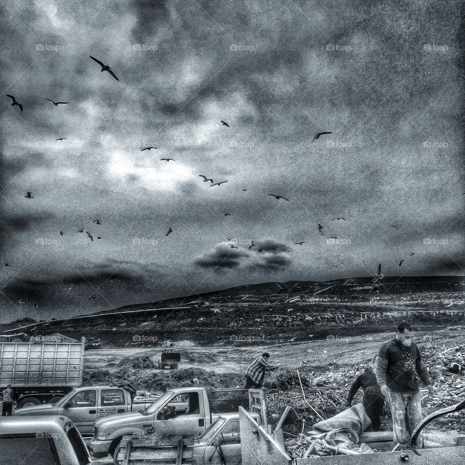 Landfill. A black and white shot of people dumping refuse at a landfill