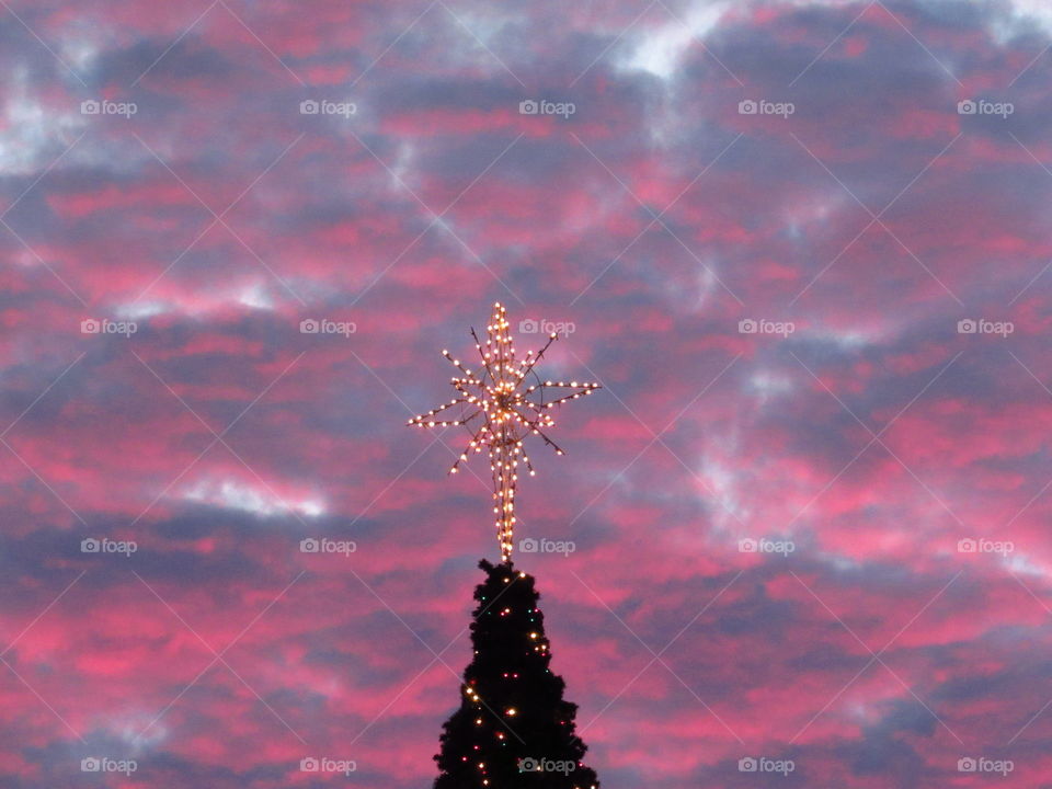 Illuminated star shape on top of christmas tree