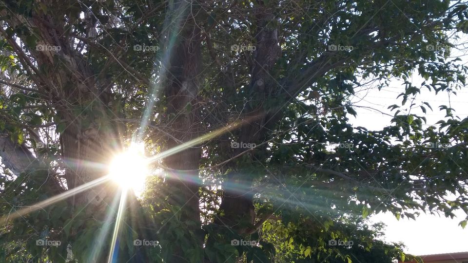 let the light shine through