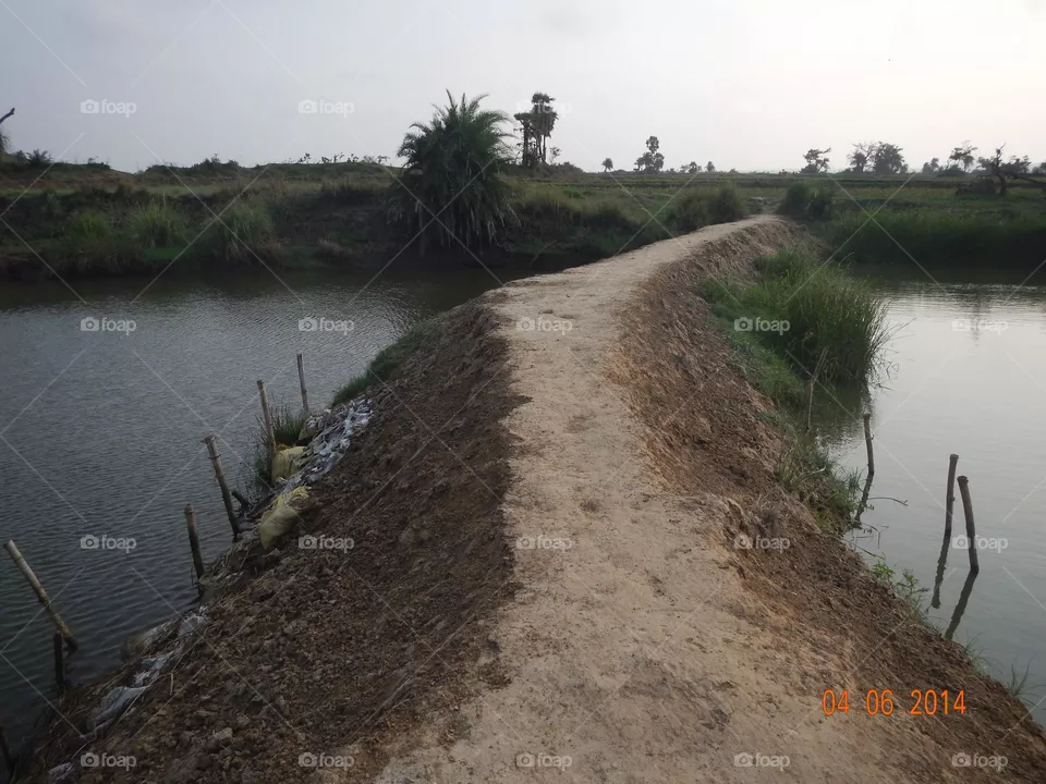 Newly road