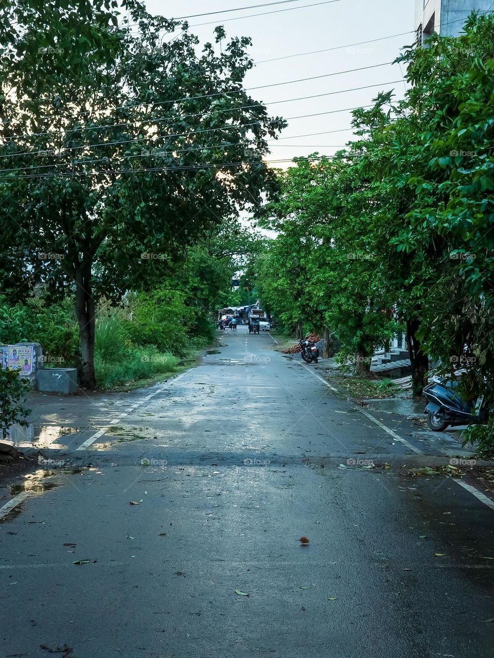 Street road with rain