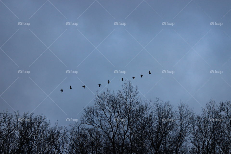 The sky is the limit. Heading south