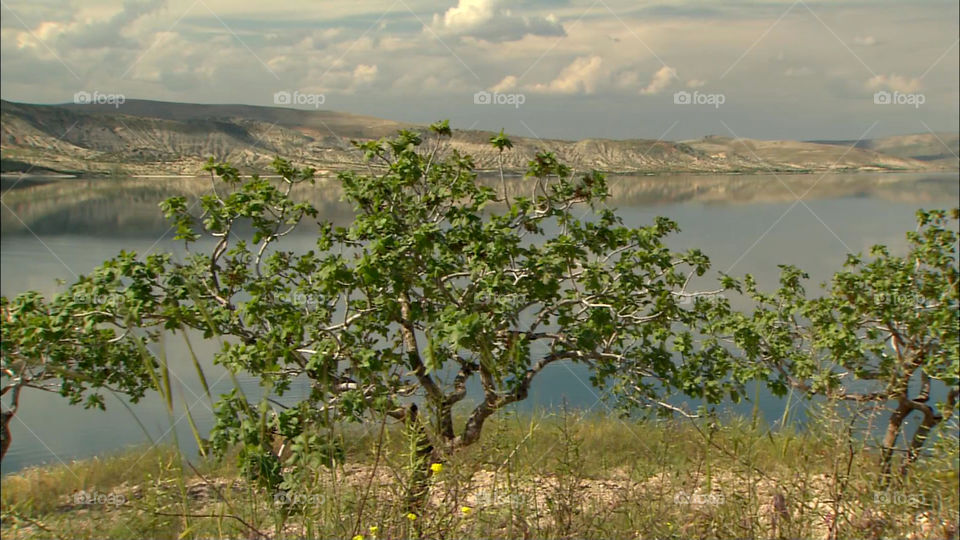 In giro per la Turchia