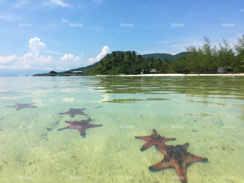 Starfish Beach Vietnam