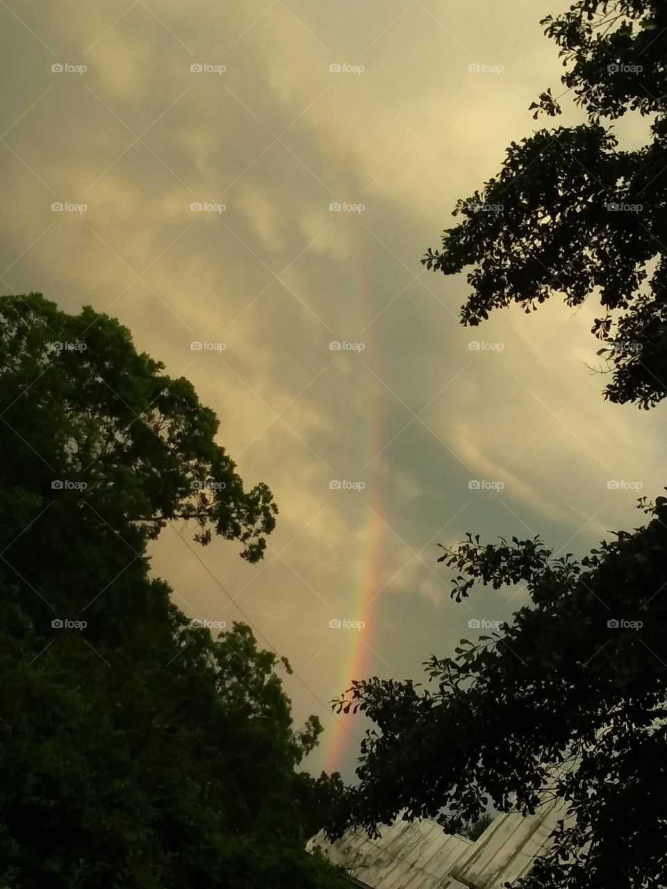 Longest rainbow I've seen
