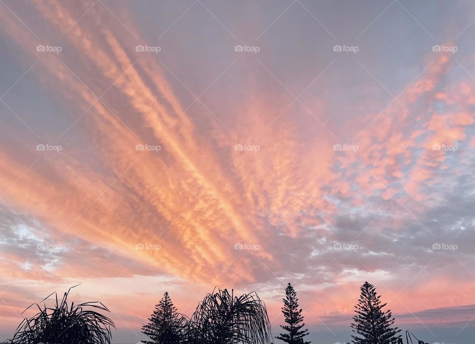 Colourful clouds with trees 