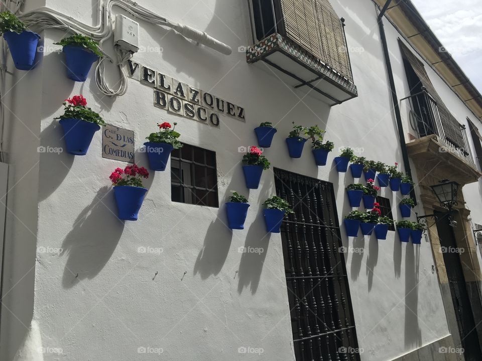 The beautiful streets of Córdoba where gardening is a passion