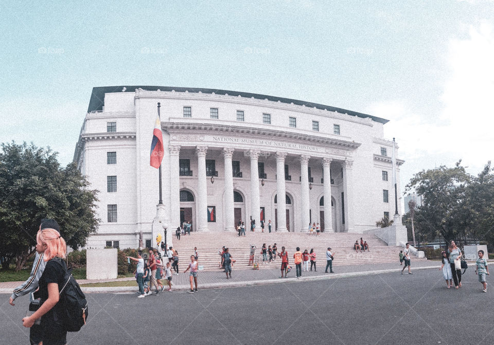 National Museum of Natural History (Philippines)
