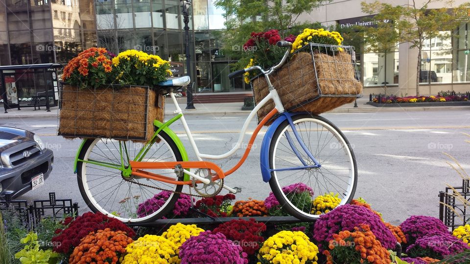 Flower Girl. Bike with Flowers