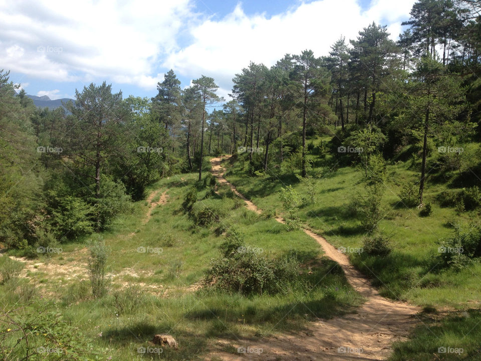 mountain forest path spain by jbarberan