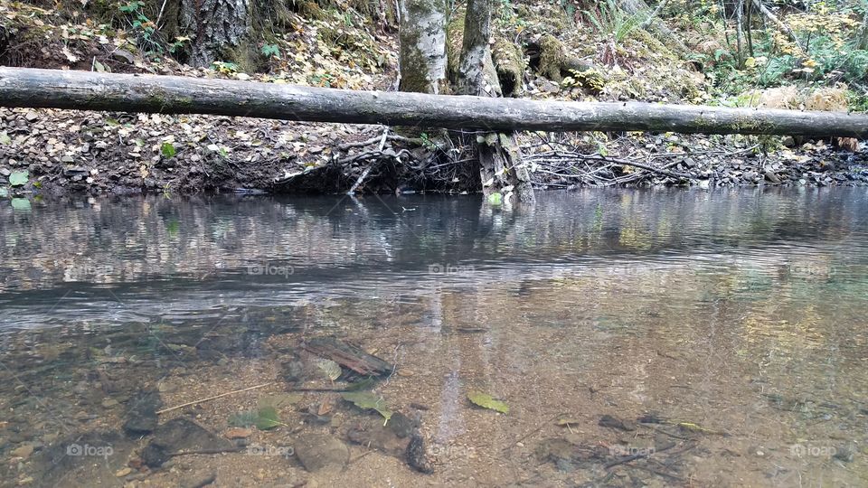 Water, Nature, River, No Person, Outdoors