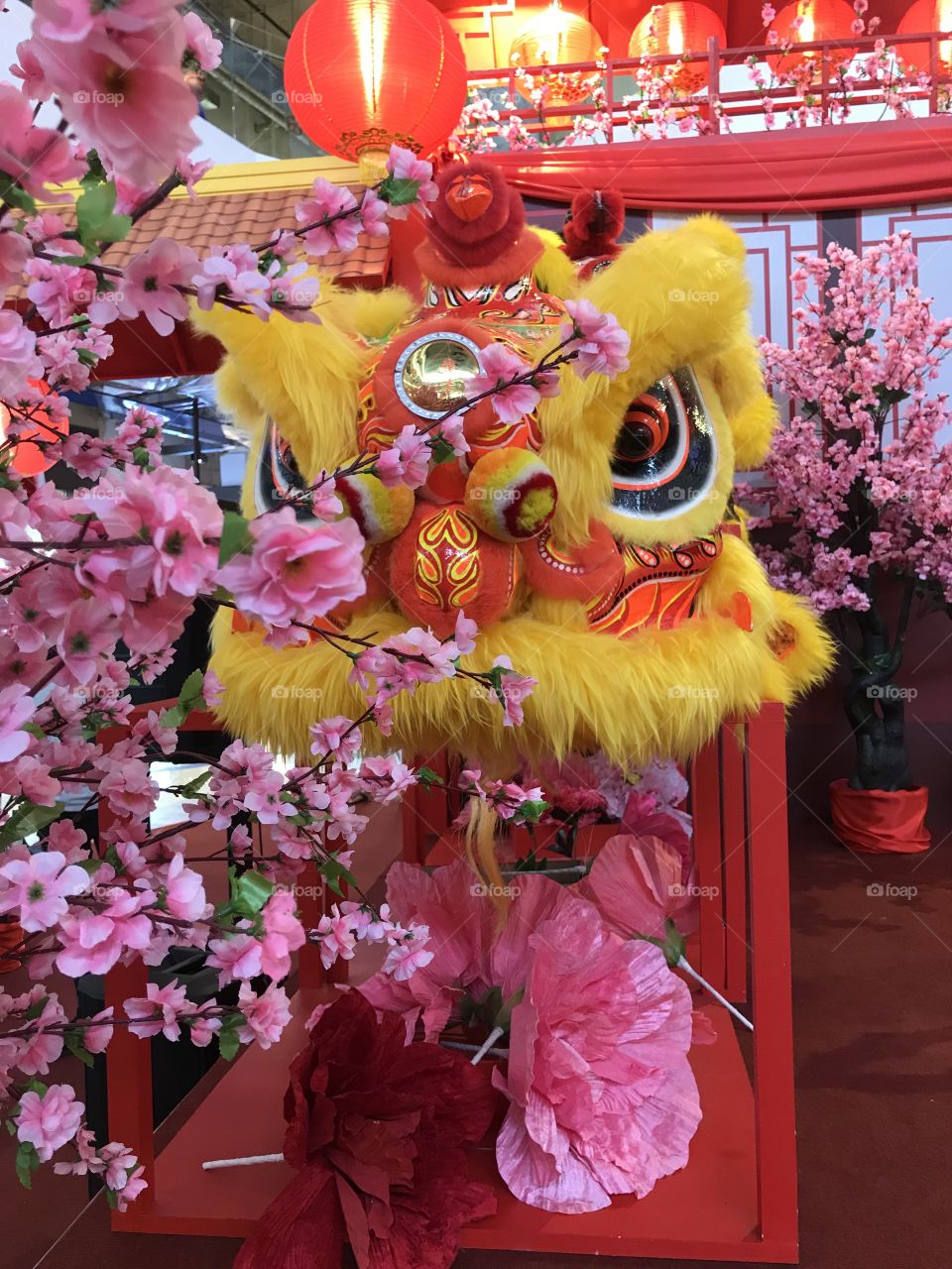Lion dance & local culture 