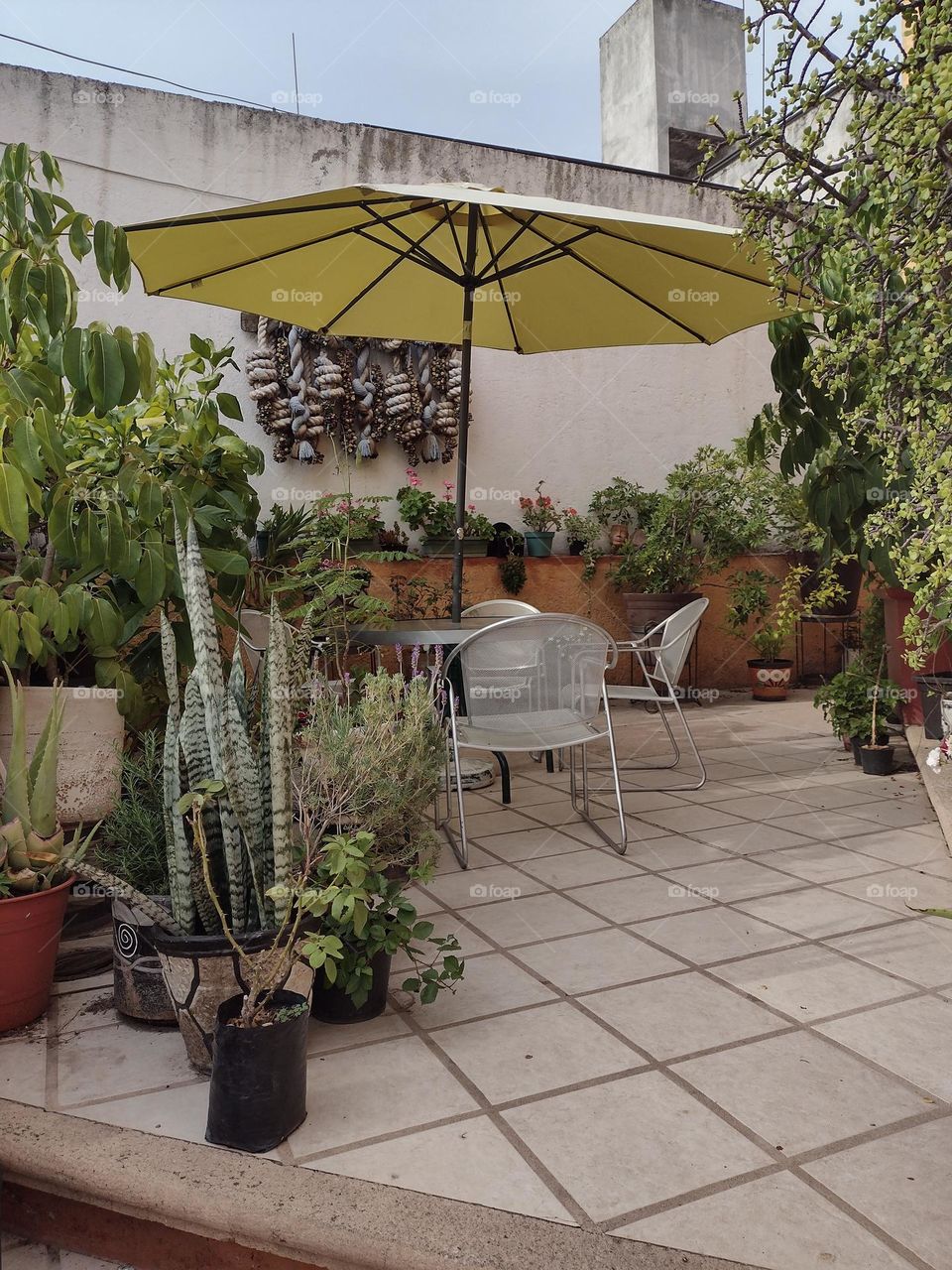 Mesa y Sillas en la terraza