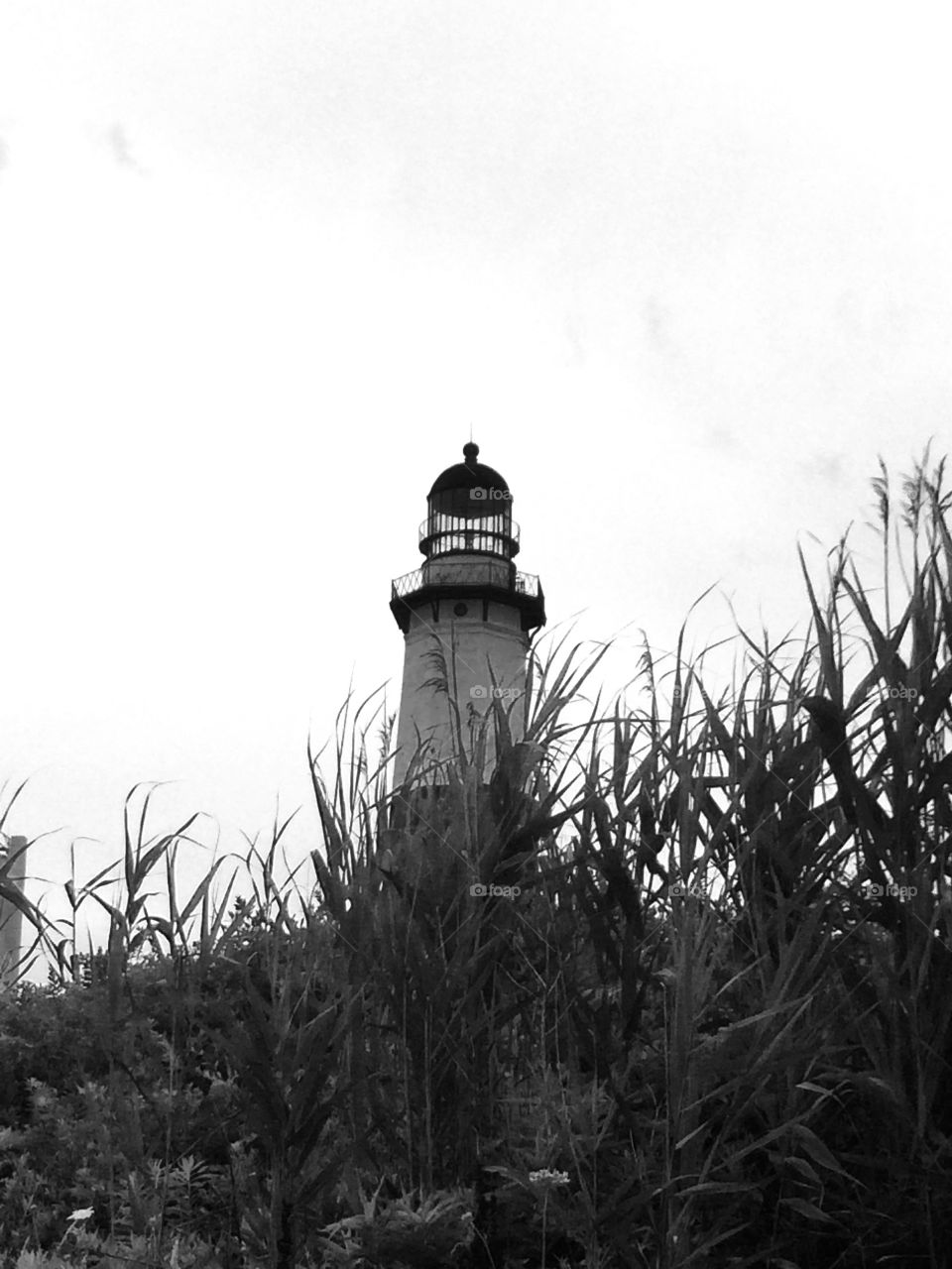 Montauk lighthouse