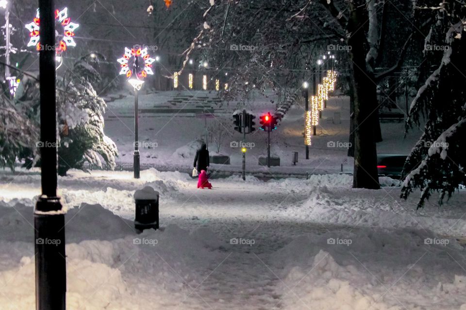 Park at the snow at the evening in December