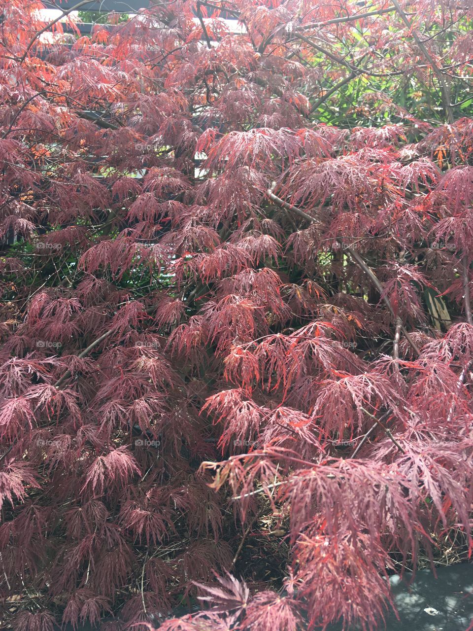 While I wait taking in the beauty around me in the middle of the chaos. Open your eyes.