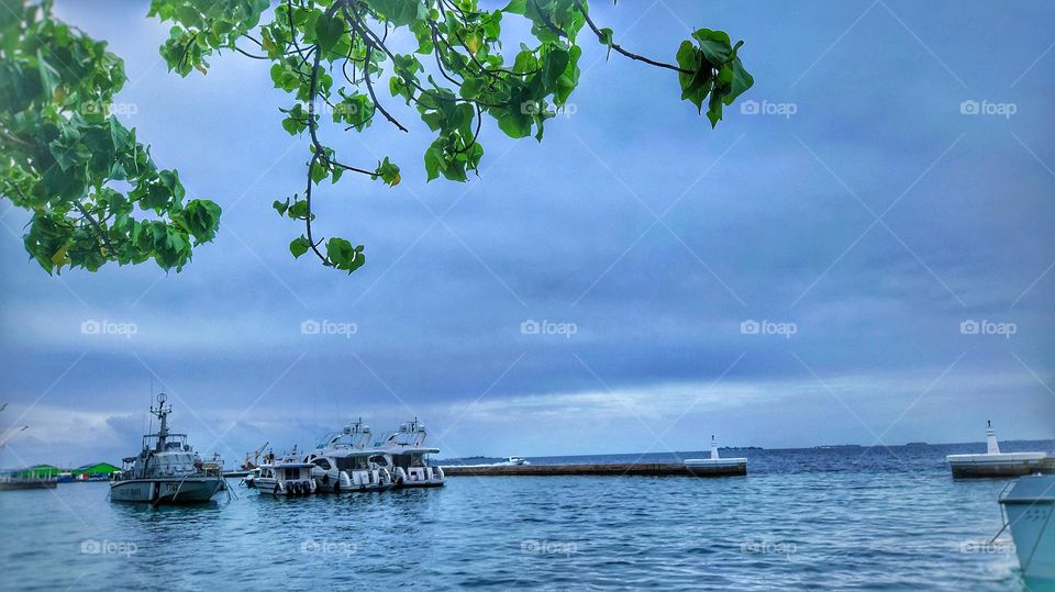 Green leaves, seaview, and some ships in Male, Maldives