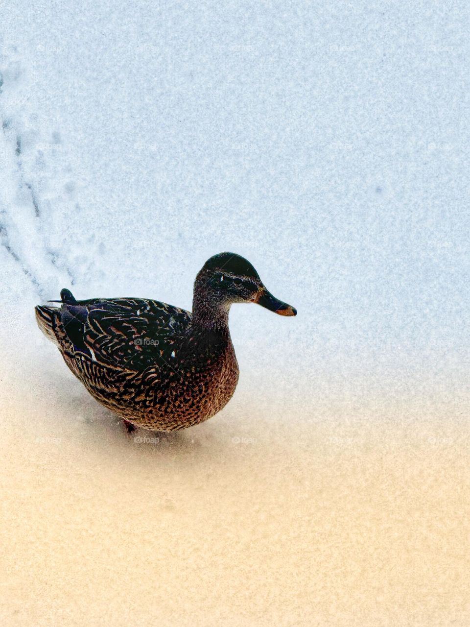 You're not alone. The whole world is with you