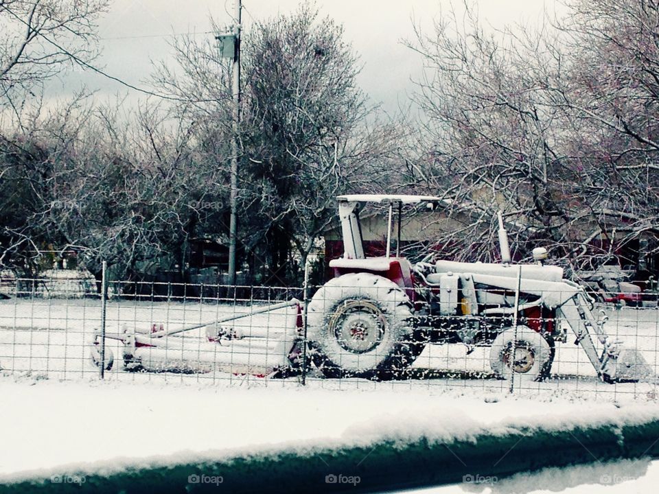 Rare Texas snow. 