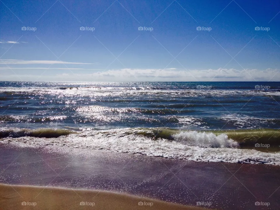 Sea