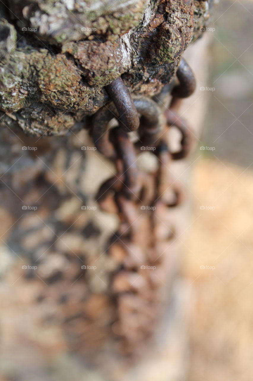 Chain