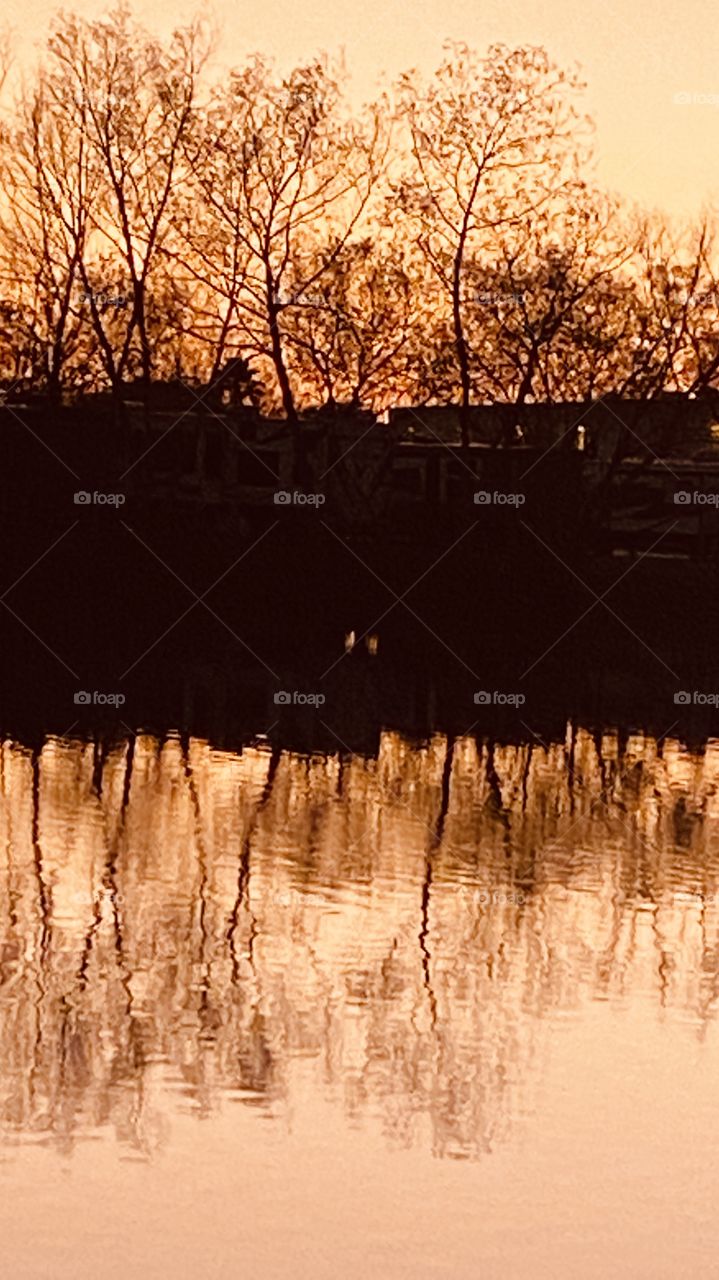 Nice Hot Sunshine on a Winter Day after a Frontal Passage overnight. The Sun overhead with Power blending Down to Reflect from Landscape Trees to the Lake Waters.