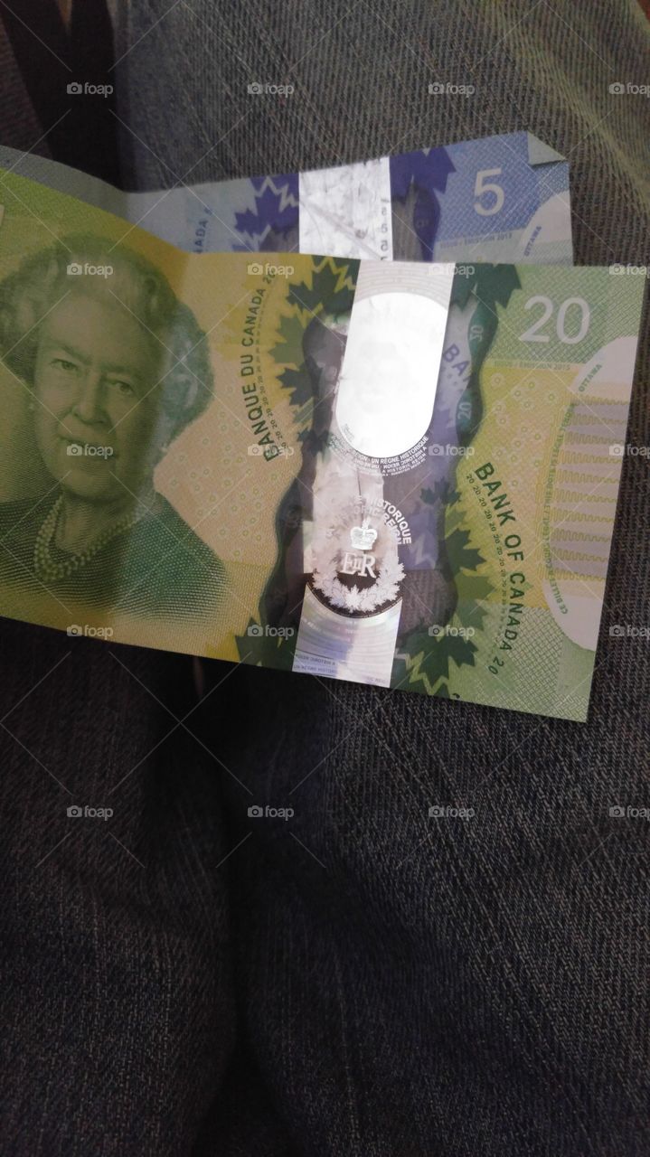 canadian money 20$