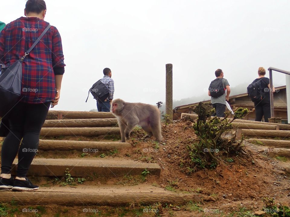 People, Man, Adult, Farming, Two