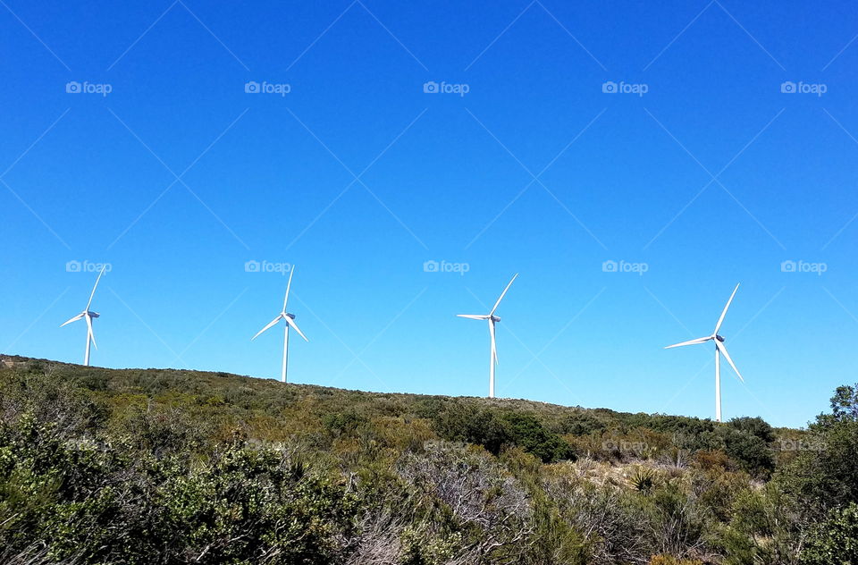 Windmills on a windfarm
