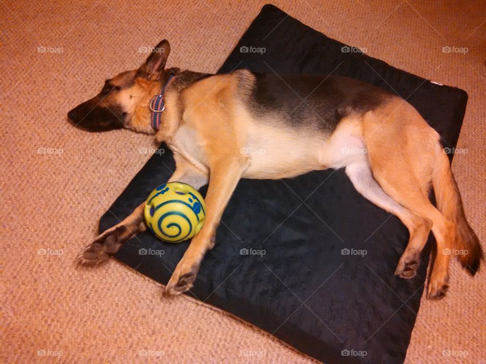 tired after playing ball