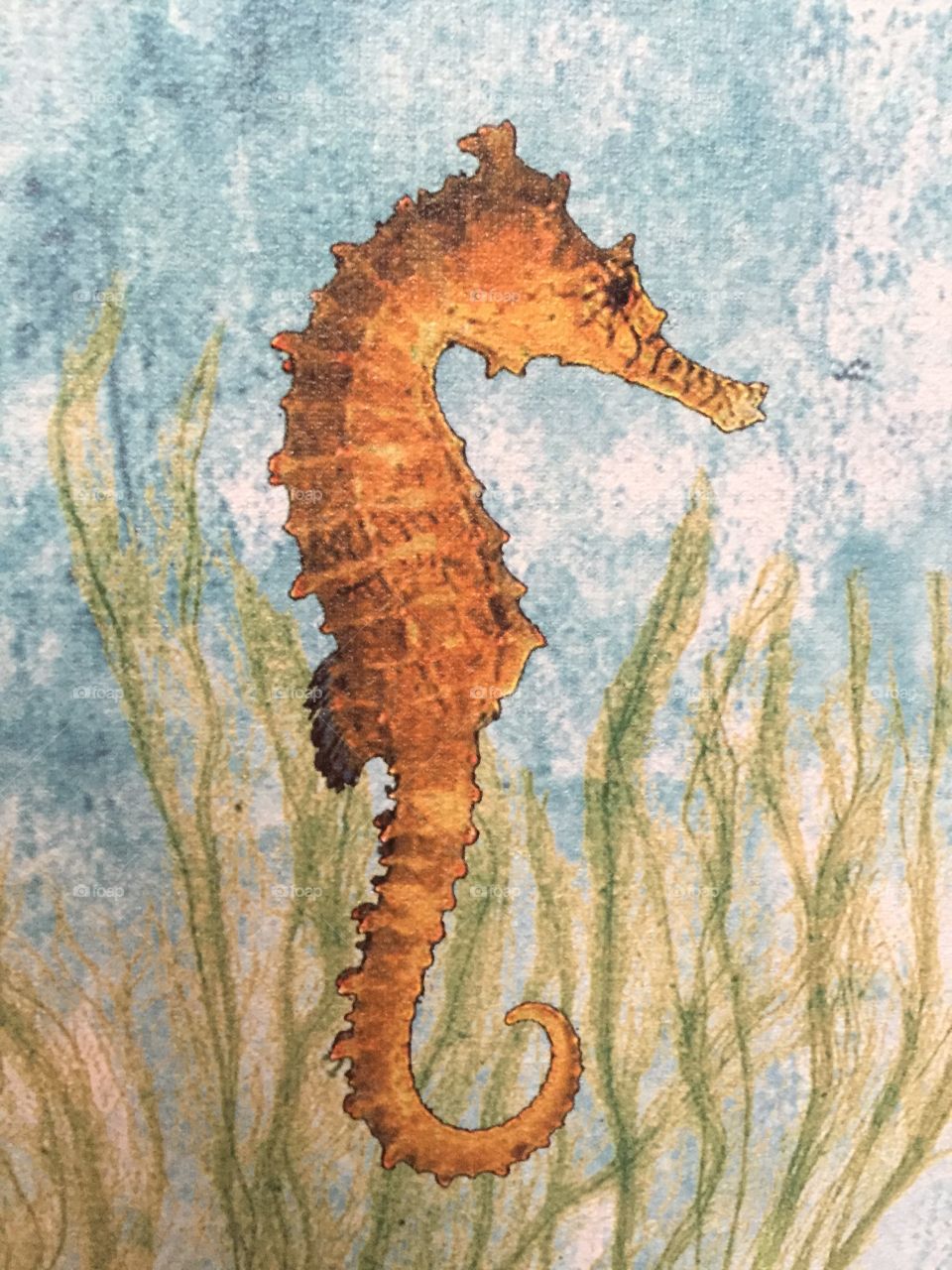 Seahorse