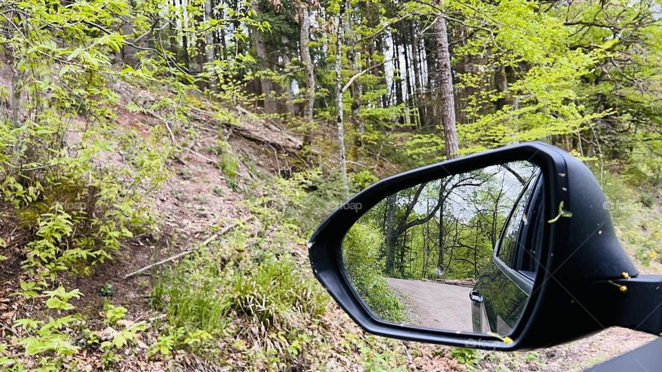 Mirror in the florest