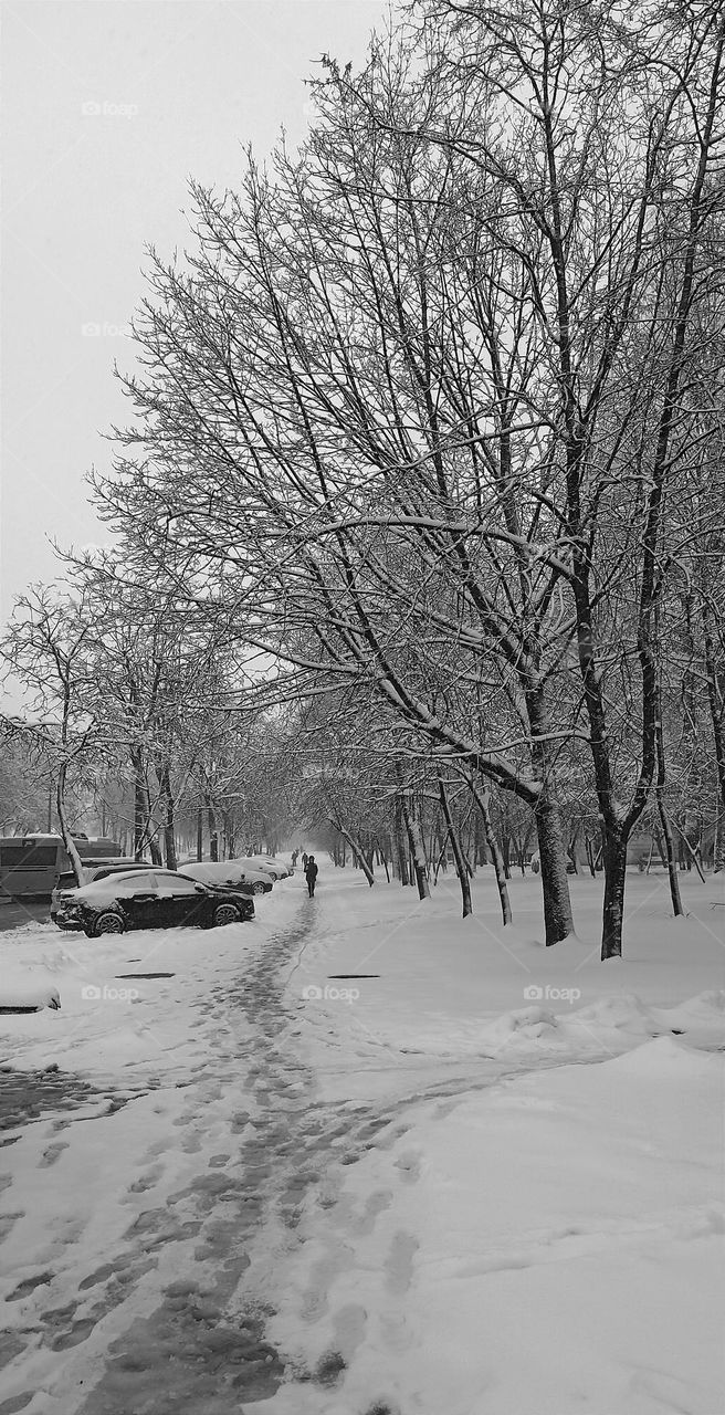 street view snowy march weather