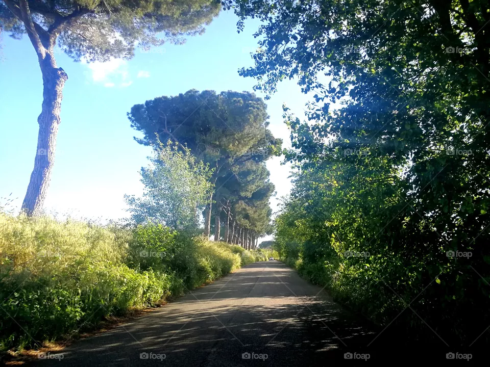 Nature