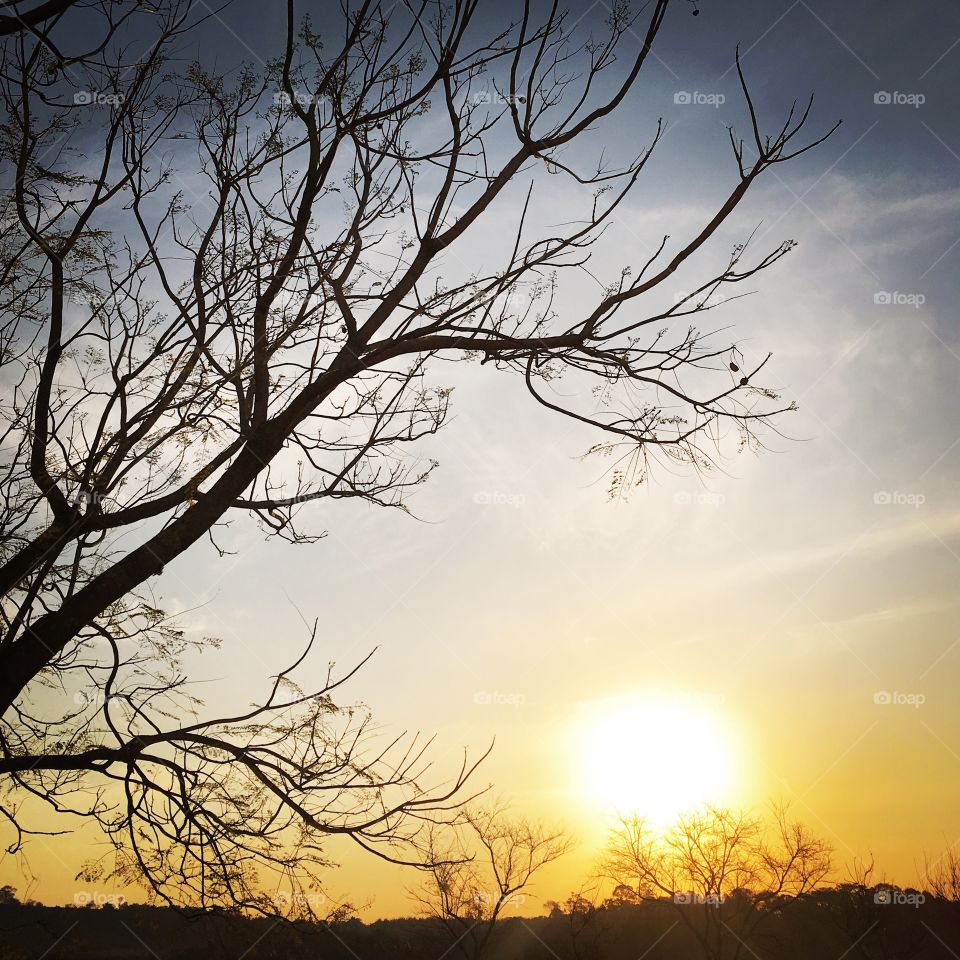 ☀️ Brilha forte o #sol neste lindo #domingão!
Bom trabalho (ou bom descanso) para nós.
😃
#natureza
#paisagem 
#fotografia
#inspiração 
#amanhecer