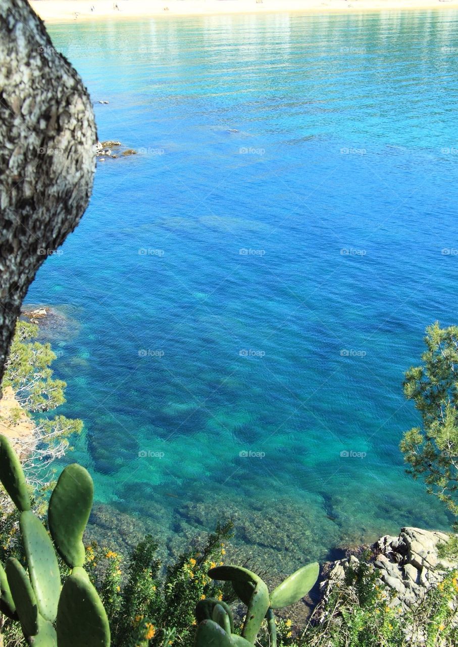 High angle view of sea