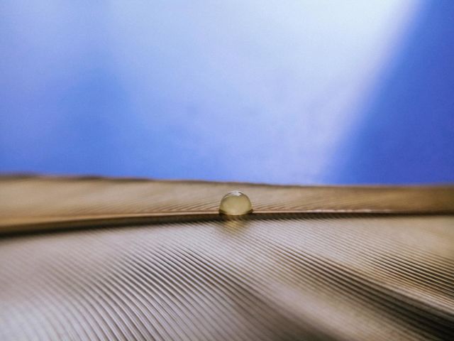 one drop of liquid