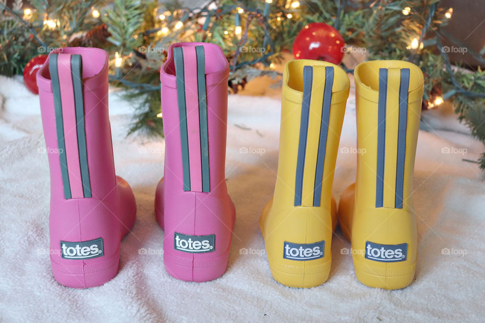 Totes for Christmas