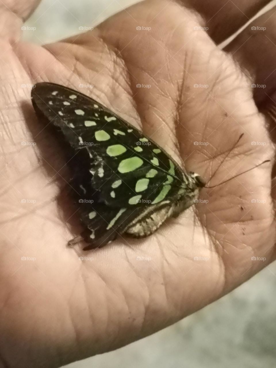 sleeping with open eyes