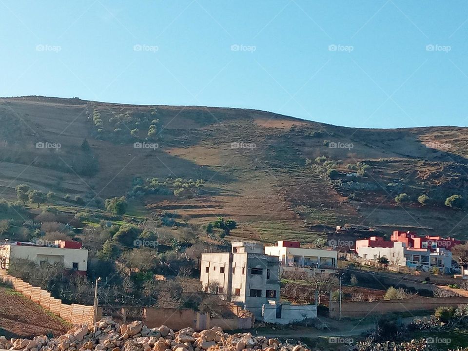 The best of nature 2021