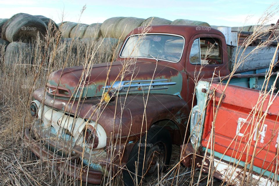 Old classic Ford truck in a field. 