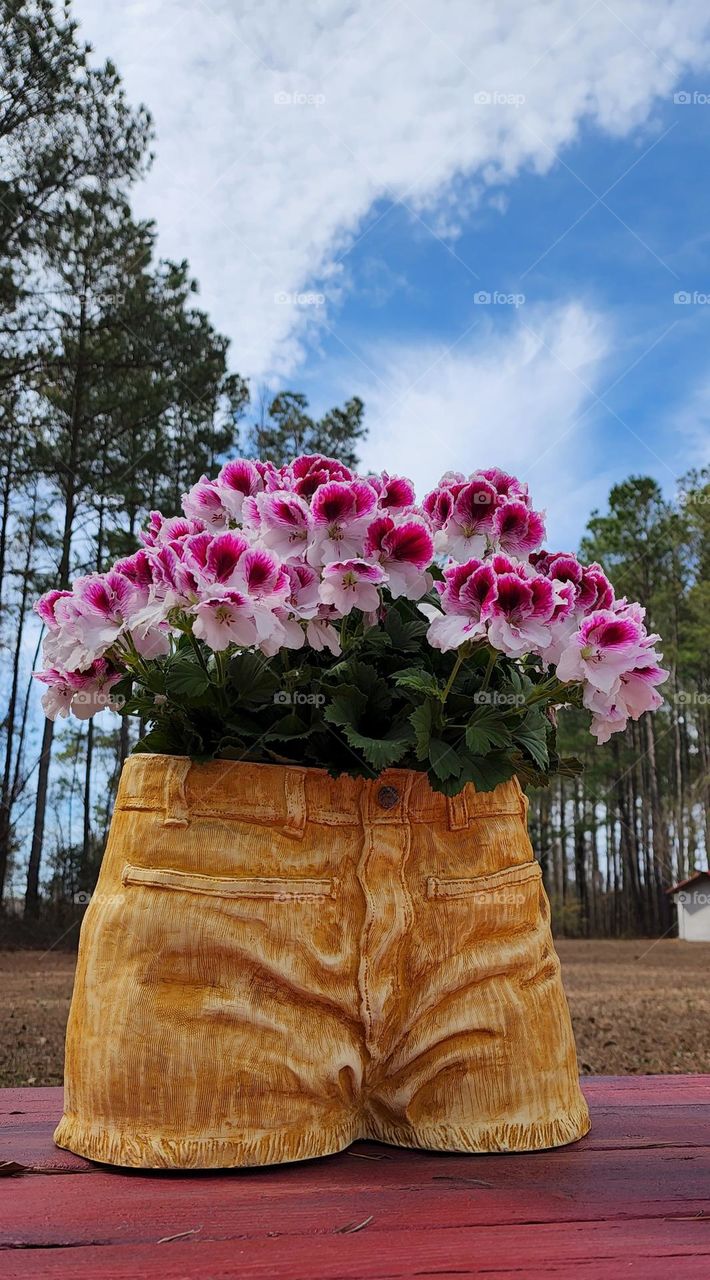 Jeans Flower Planter