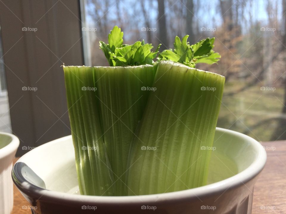 Celery 